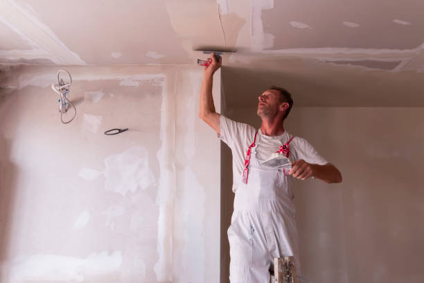 Reliable Fort Loramie, OH Dry wall and painting Solutions